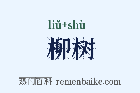柳树是什么意思的图片